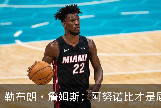 勒布朗·詹姆斯：阿努诺比才是尼克斯夺冠的“无名英雄”