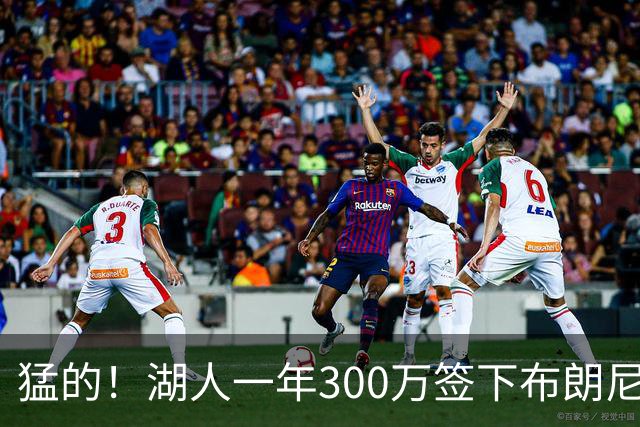 猛的！湖人一年300万签下布朗尼大哥！